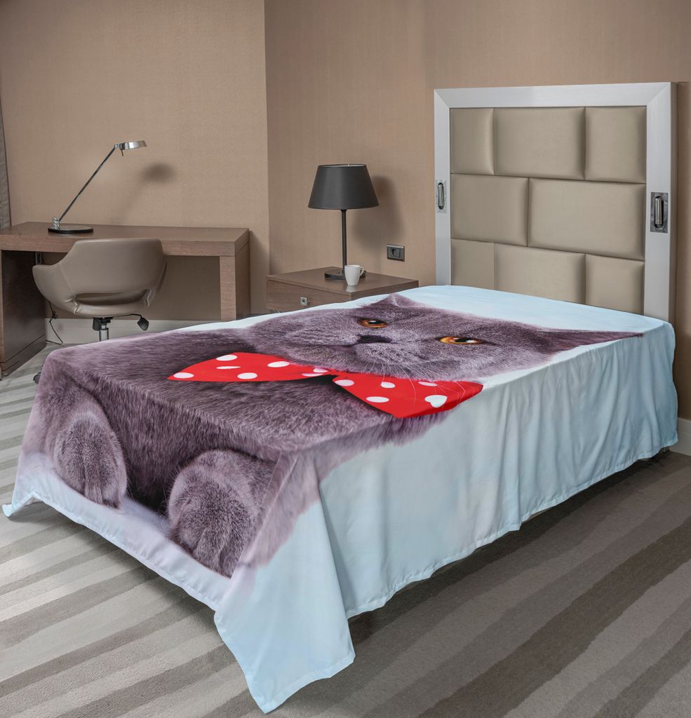 ABAKUHAUS Katze Bettlaken, Tuxedo Grau Scottish Fold Theme mit Vermilion weiße Tupfen Krawatte Bogen-Baby-Blau-Spaß, weiches bequemes oberes Bett...