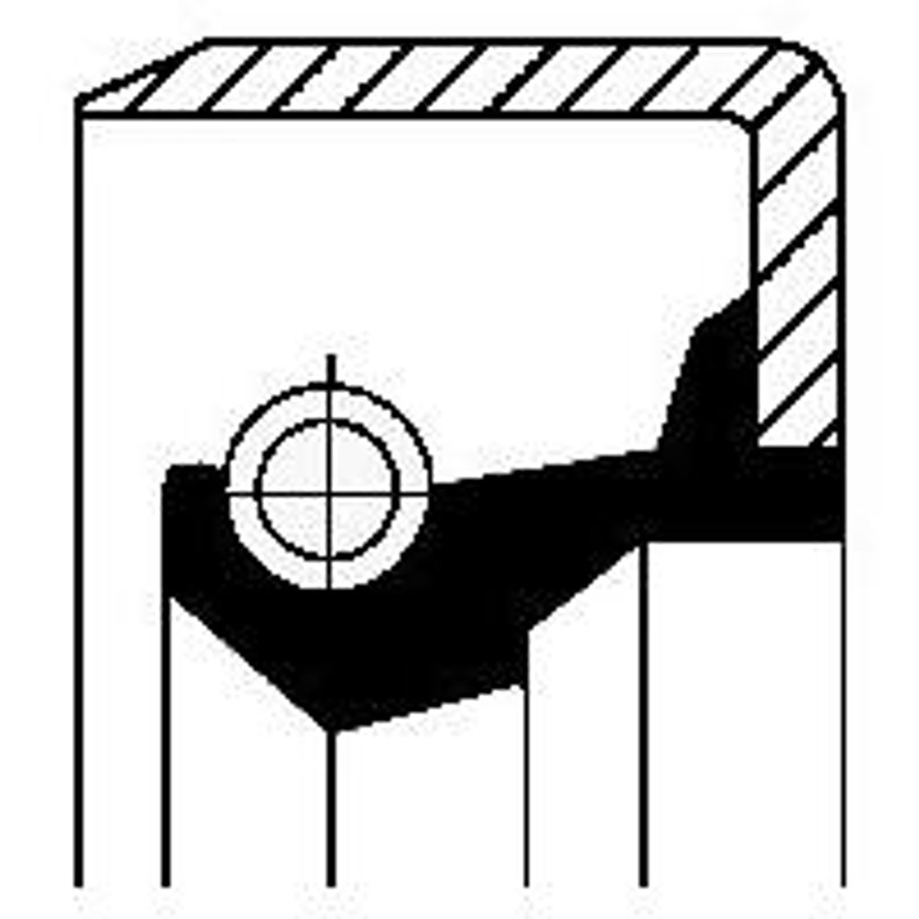 CORTECO 12001623B Simmerring, Schaltgetriebe OE 40004800 kompatibel mit Mito, 500, Brava, Bravo, Cinquecento, Doblo, Grande Punto, Idea, Linea, Mar...