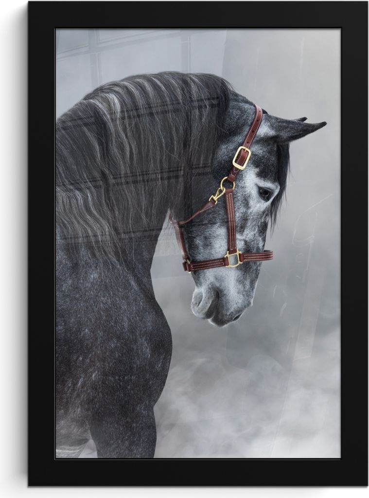 MuchoWow® MuchoWow® Gerahmtes Poster Pferd - Grau - Braun - Produktbild 