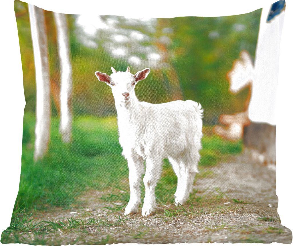 MuchoWow Zierkissen Sofakissen Wohnzimmer Dekokissen 40x40 cm Jung - Ziege - Gras - Sofakissenbezüge - ohne füllung