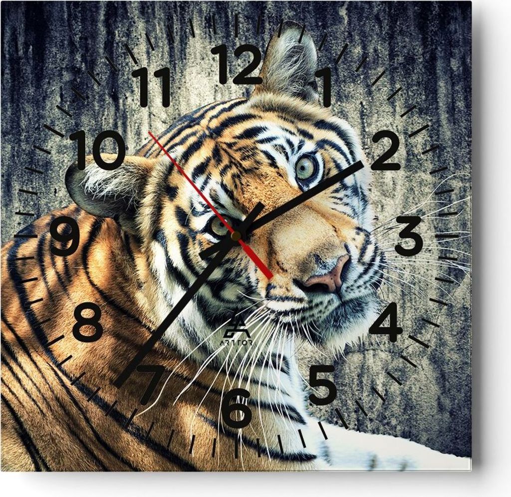 Wanduhr - Quadrat - Glasuhr - Indien stein tiger wild - Produktbild 