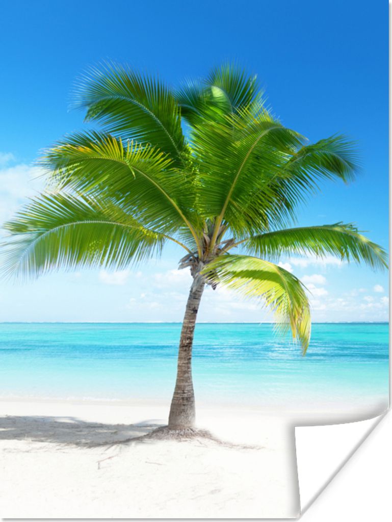 MuchoWow Poster Palme - Strand - Meer - Sommer 90x120 cm - Wohnzimmer