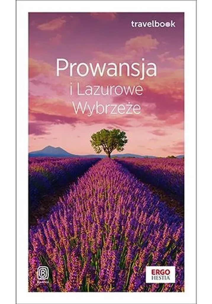 Guide de voyage Provence et Côte d'Azur Travelbook Edition 2 Complet