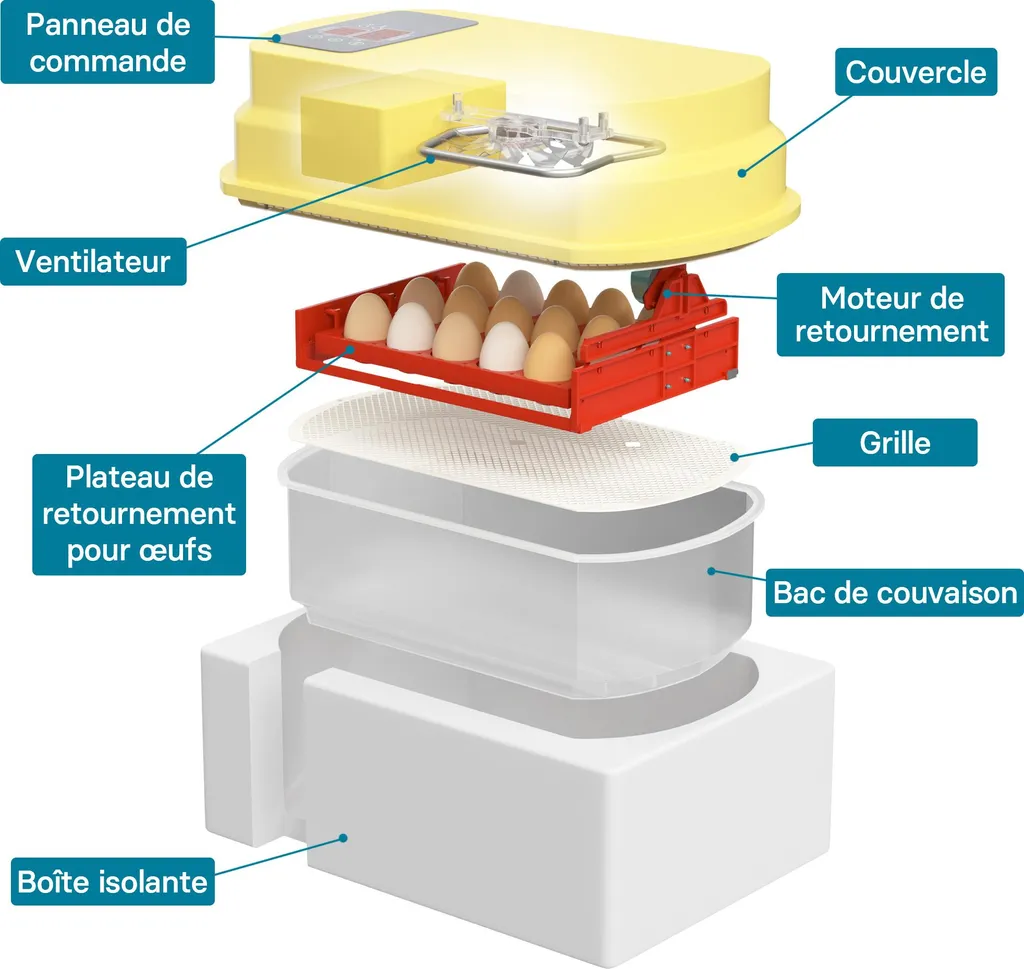 Wiltec 15: Incubatrice Automatica Digitale per Hobby e Allevamento - 11