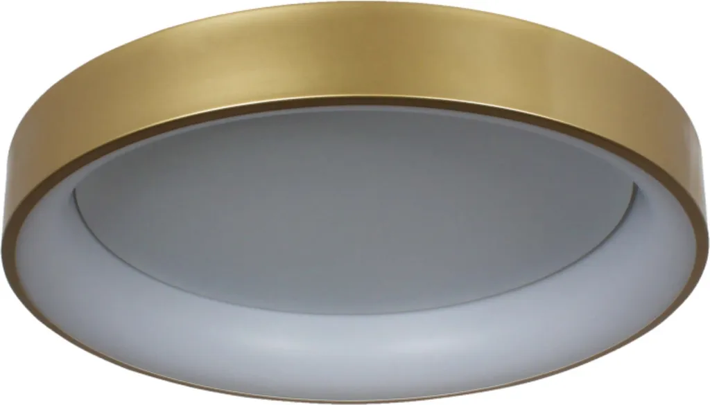 Grand plafonnier LED 60cm pour éclairer les pièces sombres 36W Or