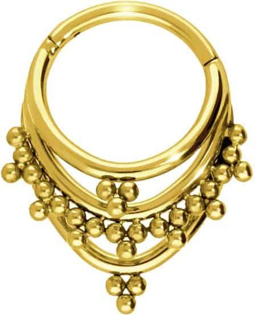 Ohrpiercing, Nasenpiercing, Septum Piercing Titan Segmentring Clicker 3 RINGE + KUGELDREIECKE