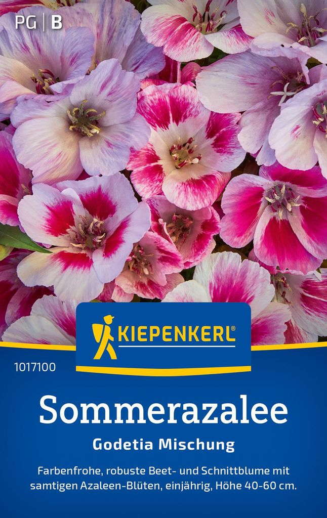 Artikelbild 2 von 'Sommerazalee Godetia Mischung' aus der Kategorie Azaleensamen