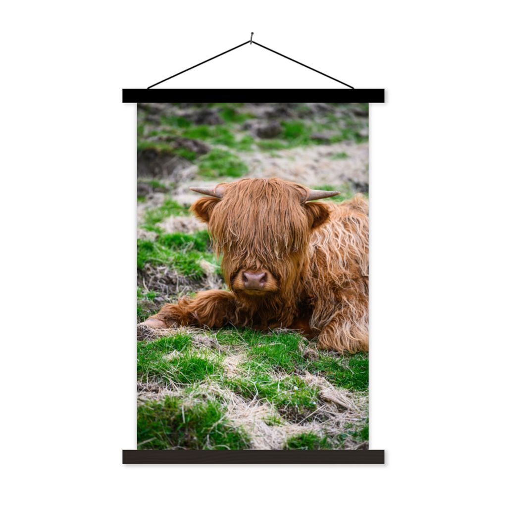 MuchoWow Textilposter Schottischer Highlander - Heu - Gras 120x180 cm mit schwarzem Rahmen - Fotos
