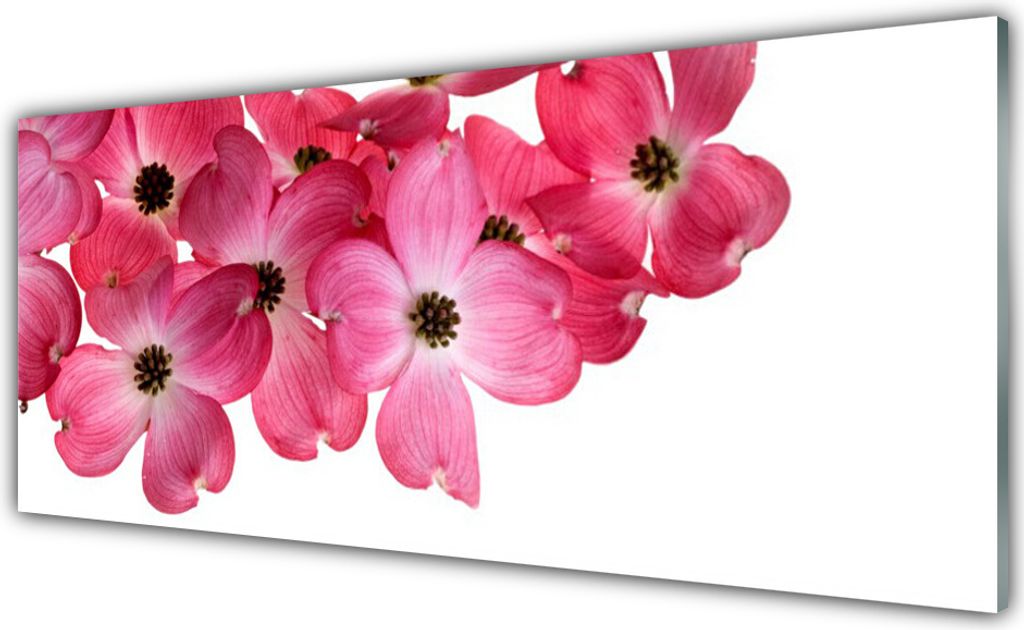 Küchenrückwand aus Glas 125x50cm Spritzschutz Blumen Pflanzen