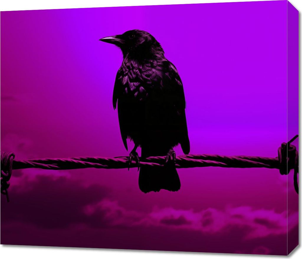 Bild 70x60cm Silhouette des Geheimnisses