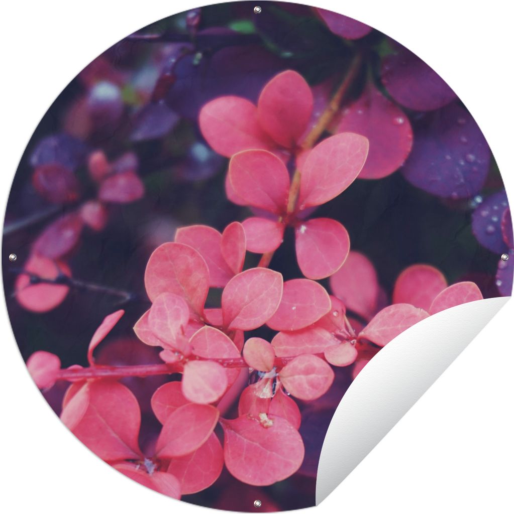 MuchoWow Gartenposter Outdoor-Poster Rund Blumen - Lila - Natur Ø 150 cm Gartendeko Rundes Poster draußen