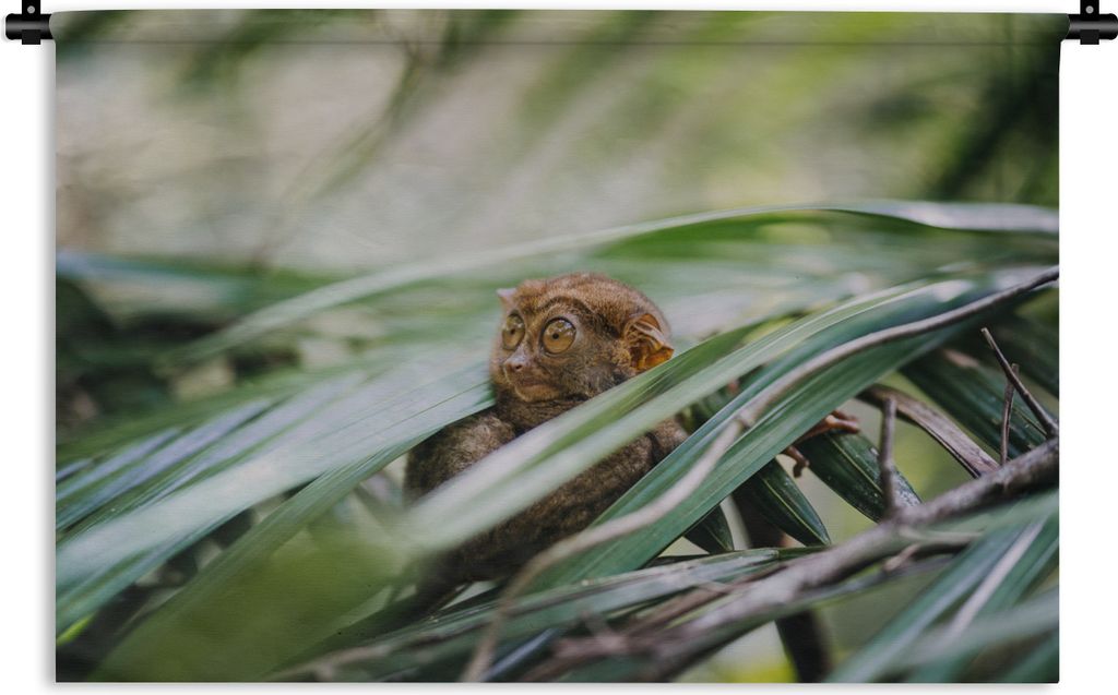 MuchoWow Wandteppich Wandbehang Philippinisches Geistertier inmitten der Blätter 60x40 cm Tapisserie Dekoration Wandtuch - Wanddekorationen