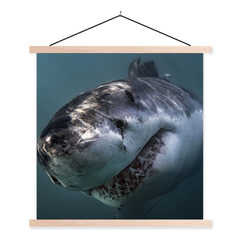 MuchoWow Textilposter Hai - Weiß - Wasser 60x60 cm mit holzfarbenen Rahmen - Wanddekoration