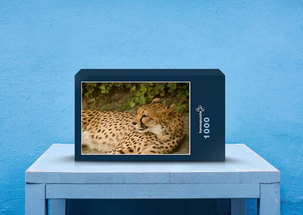 hansepuzzle 80641 - Gepard Puzzle, 1000 Teile, Natur, 60,0 x 46,0cm mit hochwertiger Aufbewahrung, Kartonbox und wiederverschließbarem Beutel