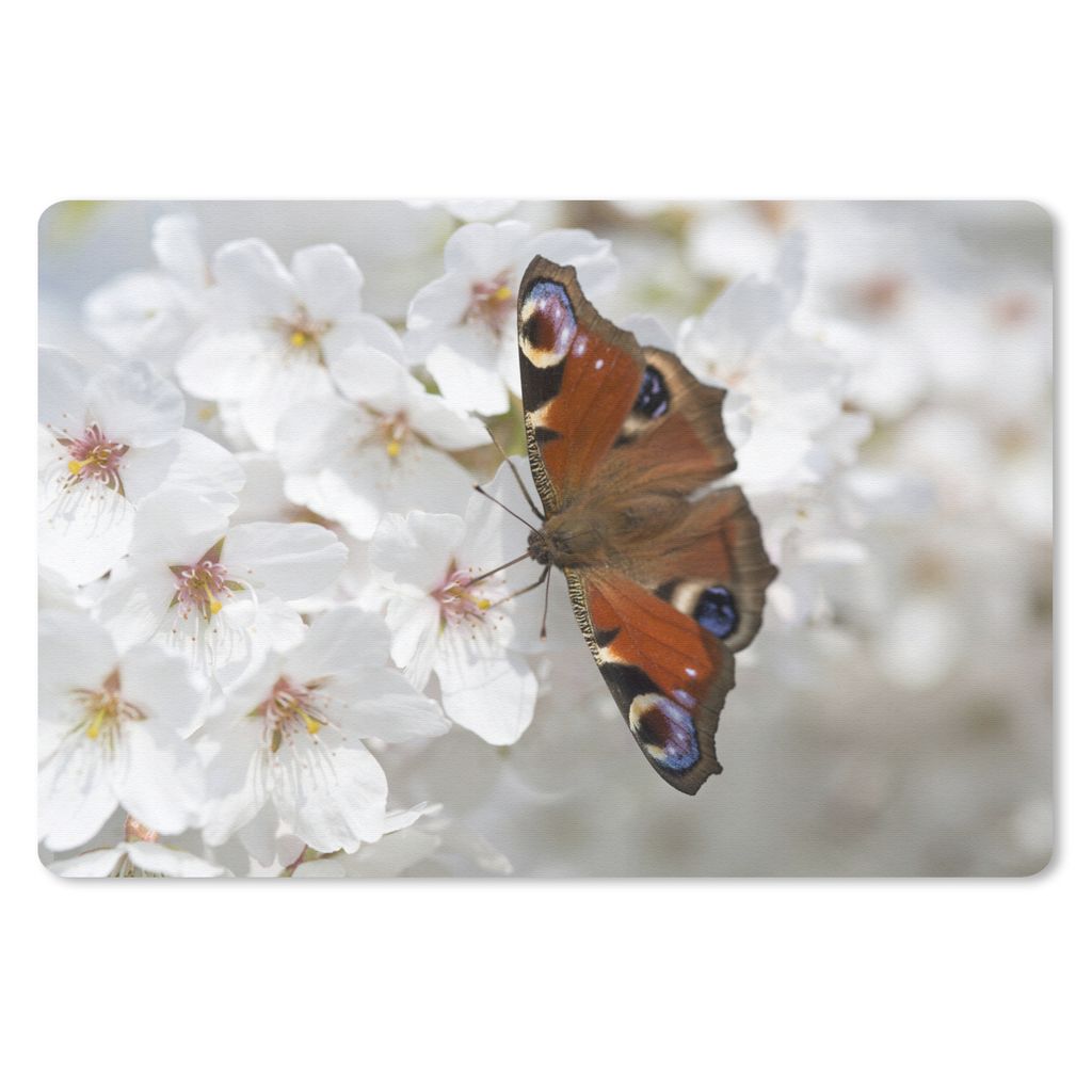 MuchoWow Mauspad Mousepad Tagpfauenauge Schmetterling auf Kirschblüte 27x18 cm - Mousepads - Maus Mat - Pad - Mausunterlage - Büroartikel - Des...