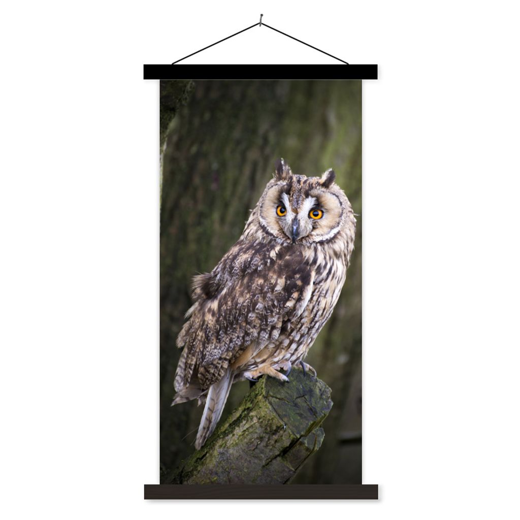 MuchoWow Textilposter Eule - Nahaufnahme - Baum 40x80 cm mit schwarzem Rahmen - Wandemalerei