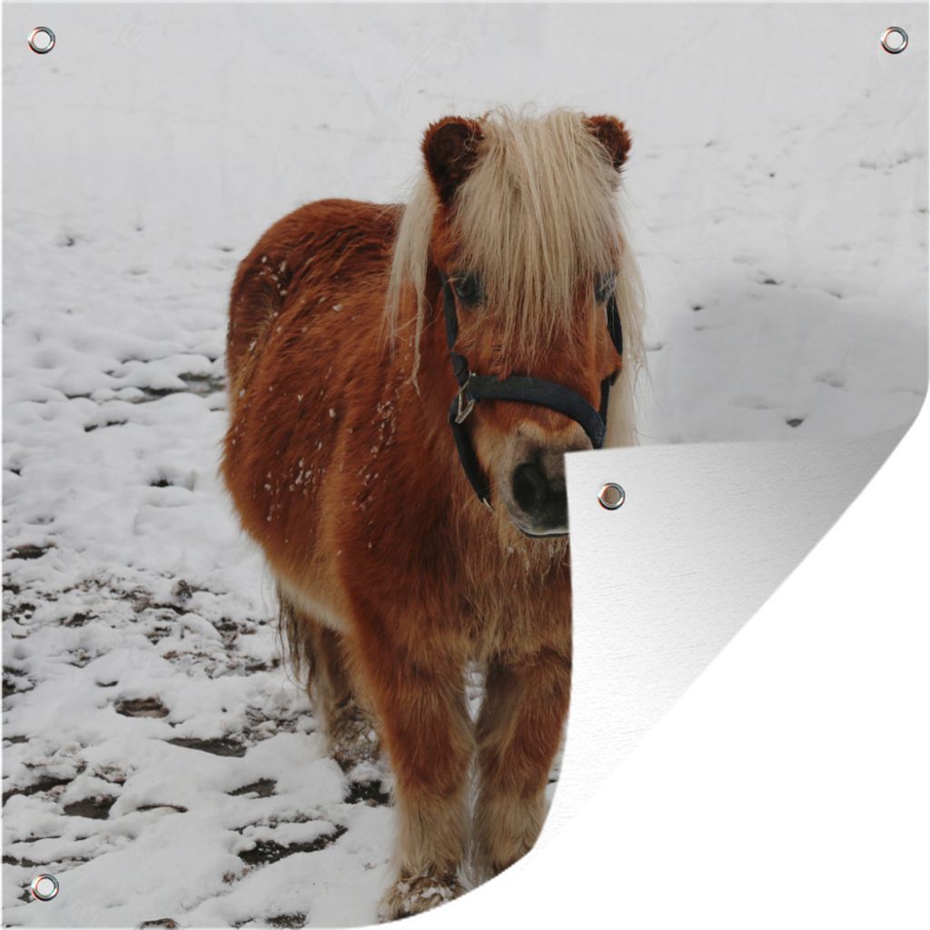 MuchoWow 100x100 cm Outdoor-Poster Gartendeko Sichtschutz Garten Poster für den Garten Pony in der Kälte
