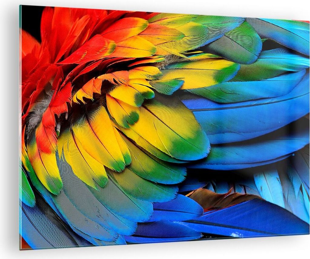 Bilder auf glas - Feder Papagei Vogel - 70x50cm - Glasbilder - Wandbilder - Kunstdruck - zum Aufhängen bereit - Wanddekoration aus Glas - Glas Bil...