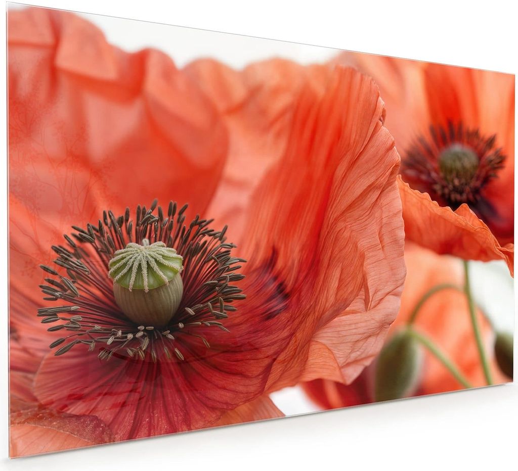 Küchenrückwand Spritzschutz Glas mit Motiv Mohnblüten 40 x Produktbild 