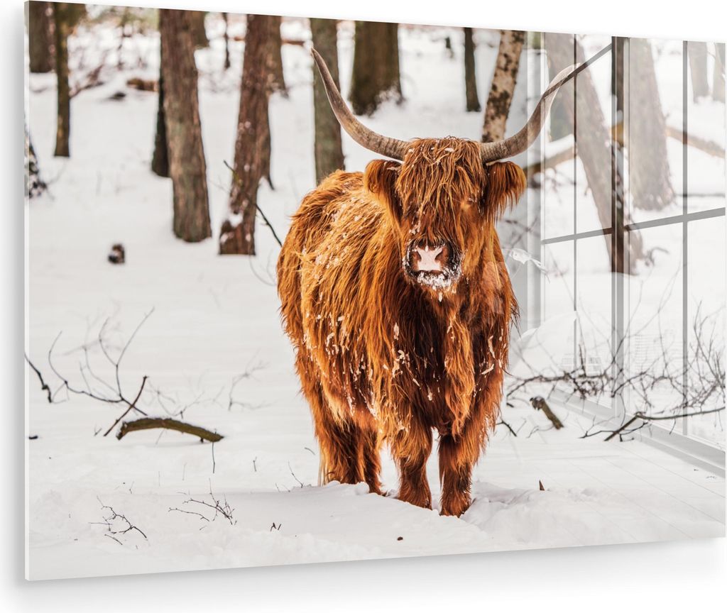 MuchoWow Glasbilder - Bilder auf Wandbild - Foto auf Glas Schottische Hochlandrind - Schnee - Winter - Natur - Tiere 90x60 cm Wanddekoration aus Gl...