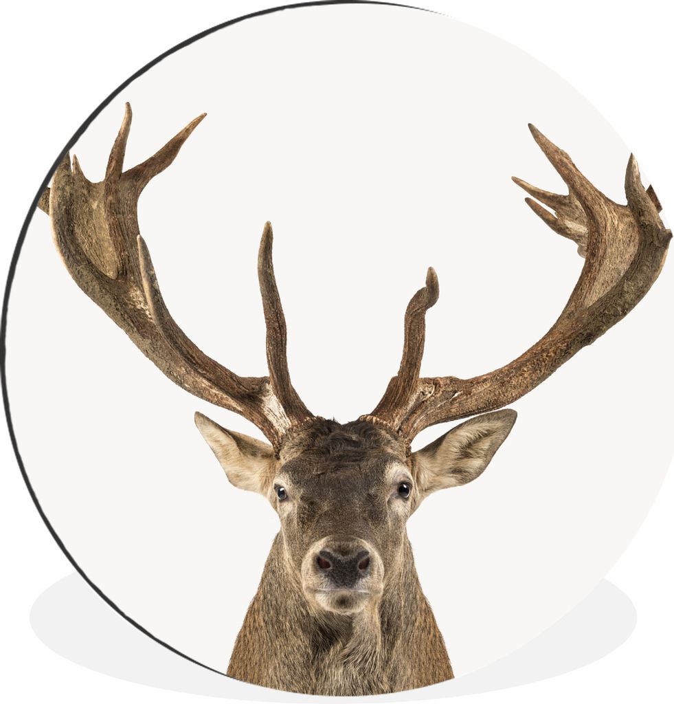 MuchoWow Aluminium Wandkreis Hirsche - Tiere - Geweihe - Kinder - Jungen Ø 90 cm Wanddeko Modern Wohnzimmer - Mauerkreis - Wandbilder - Runde Bi...