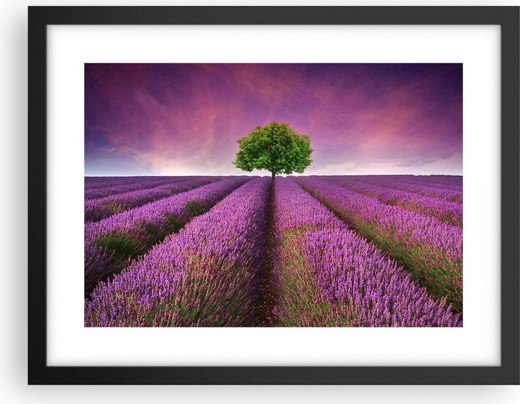 Gerahmtes Poster - Schwarzer Rahmen - Wiese lavenda Sommer Landschaft - 40x30 cm - Wand Bild - Wanddeko - Wandbilder - Wandposter - Bilderrahmen - ...