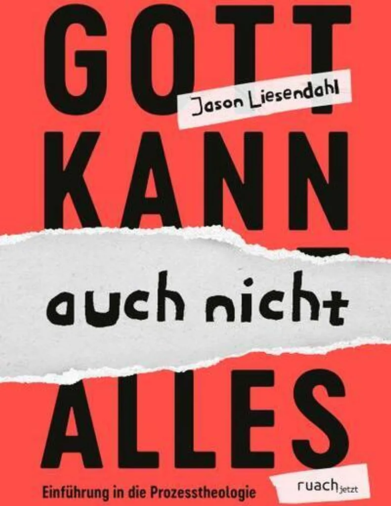 Livre allemand Gott kann auch nicht alles Roman Satirique 320p