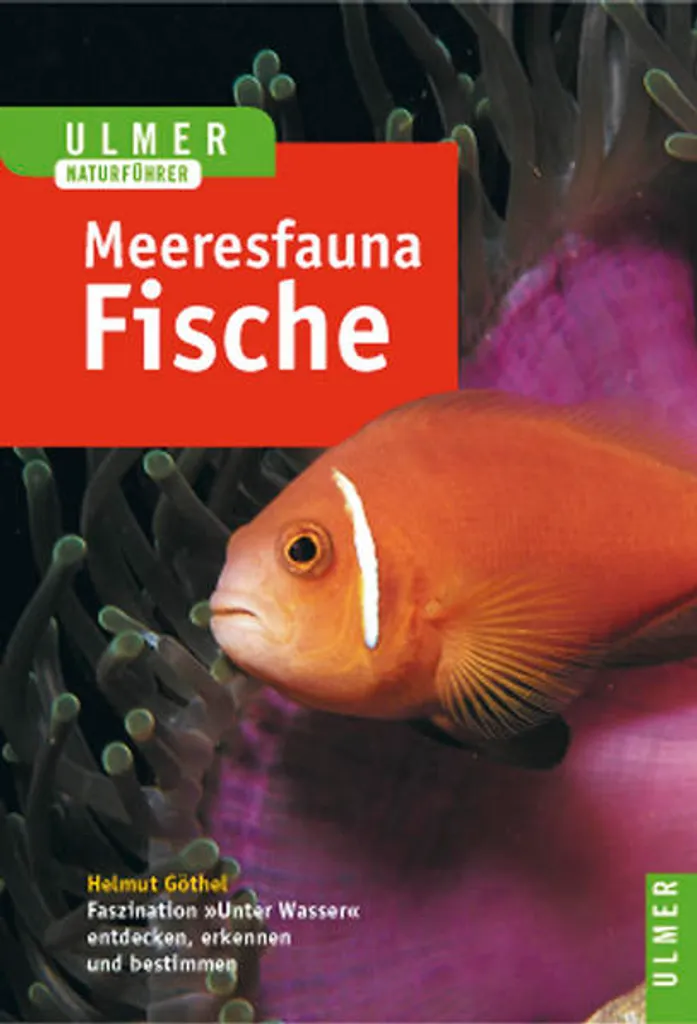 Tableau Poissons Meeresfauna Fische pour une Ambiance Marine Vintage