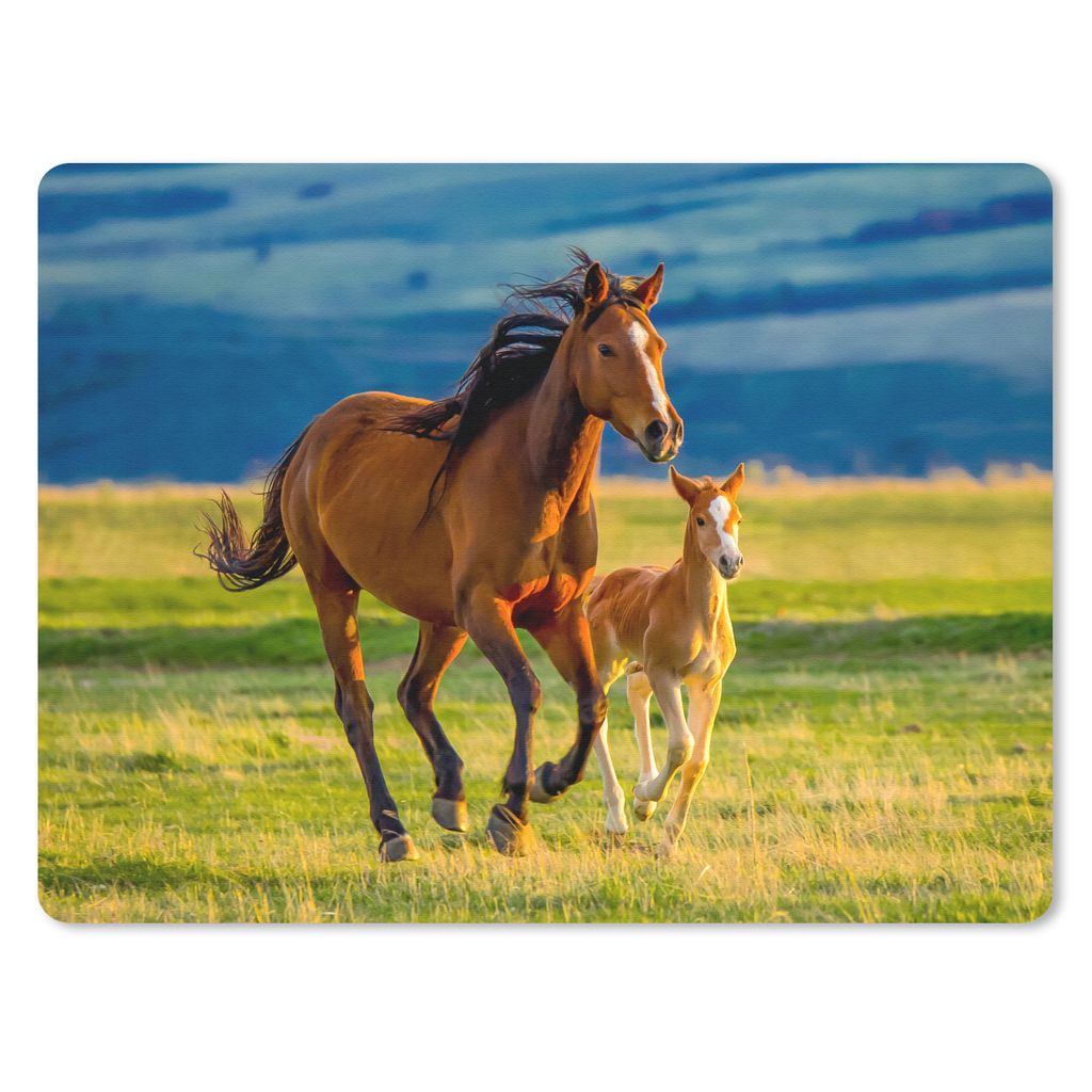 MuchoWow Mauspad Mousepad Pferde - Gras - Tiere - Landschaft - Natur 23x19 cm - Mousepads - Maus Mat - Pad - Mausunterlage - Schreibtischunterlag...