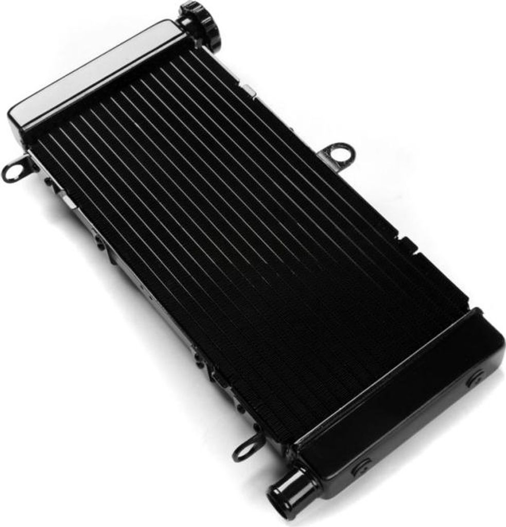 Wasserkühler für Honda Hornet 600 98-06 Radiator Kühler Produktbild 