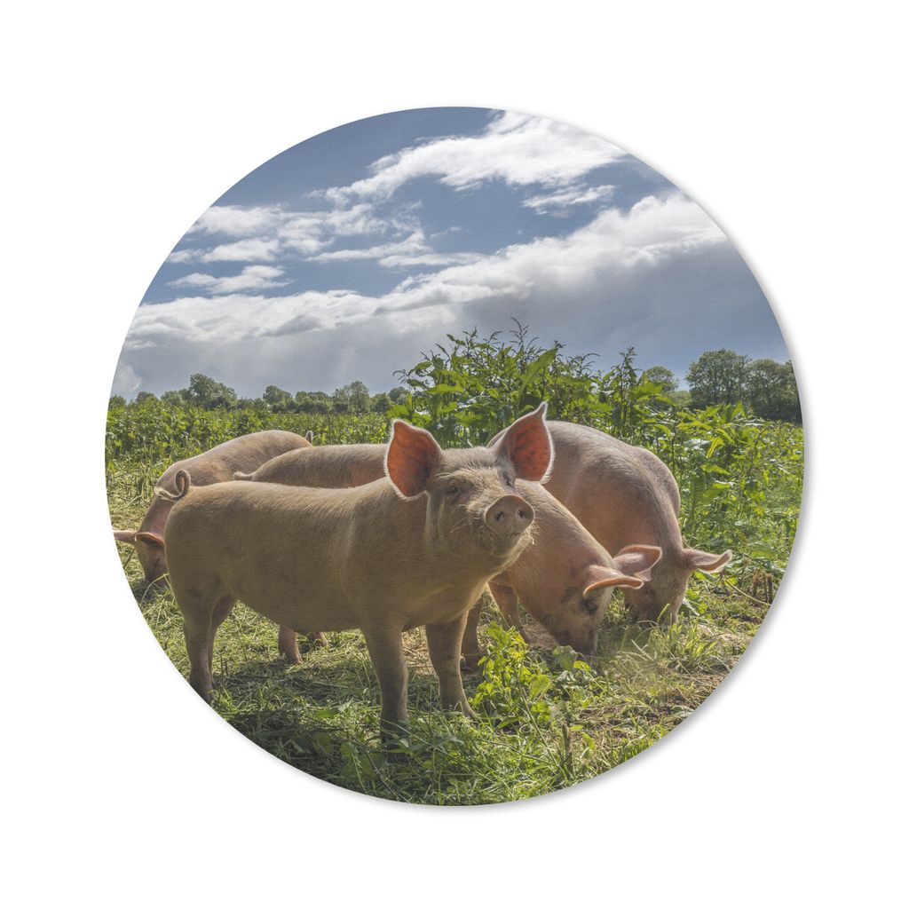 MuchoWow Mauspad Mousepad Schweine - Gras - Wolken 20x20 cm - Mousepads - Maus Mat - Pad - Mausunterlage - Schreibtischmatte