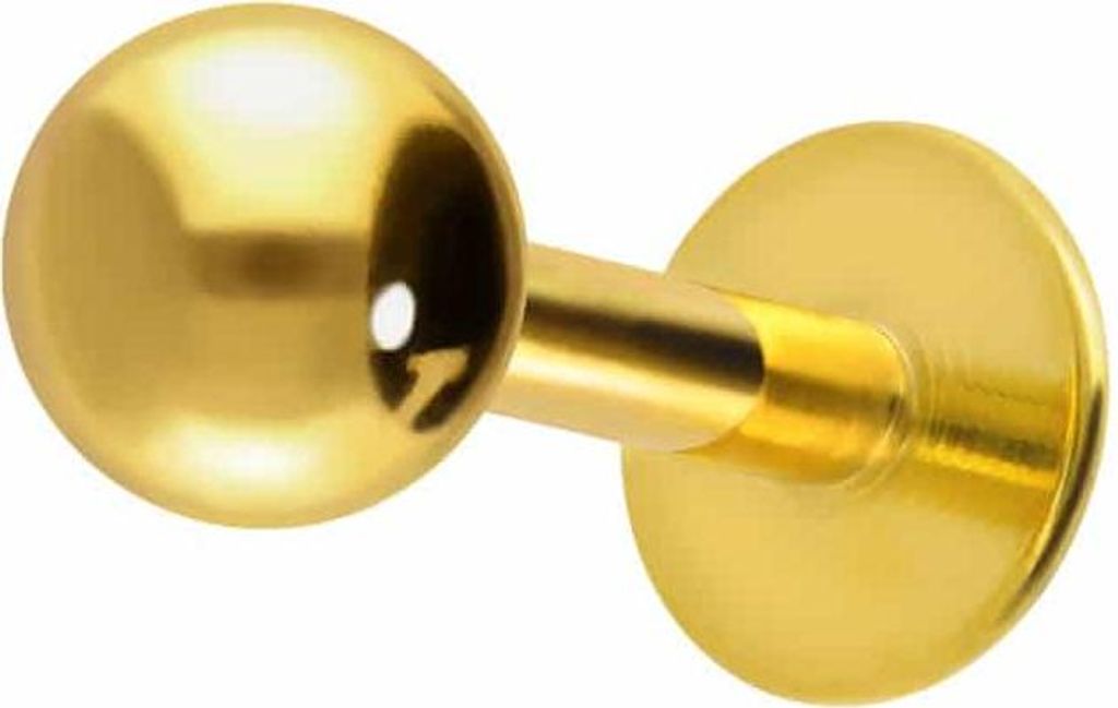 Ohrpiercing, Nasenpiercing Titan Labret ABGERUNDETE PLATTE Gold Stablänge: 6mm