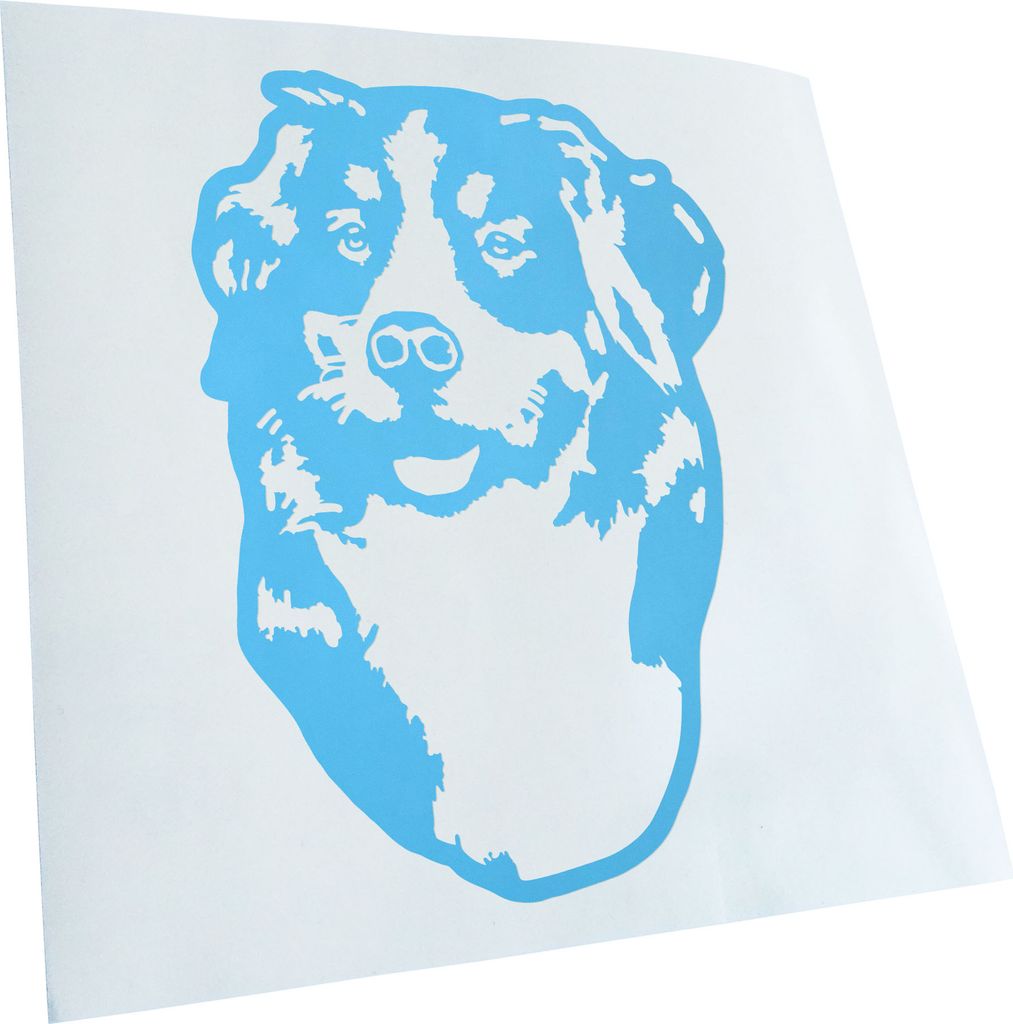 Kiwistar - Autoaufkleber - Bernese Mountain Dog Hund - Lichtblau - 60x43cm - Aufkleber für Auto, Laptop, Fahrrad, LKW, Motorrad mehrfarbig JDM Dec...