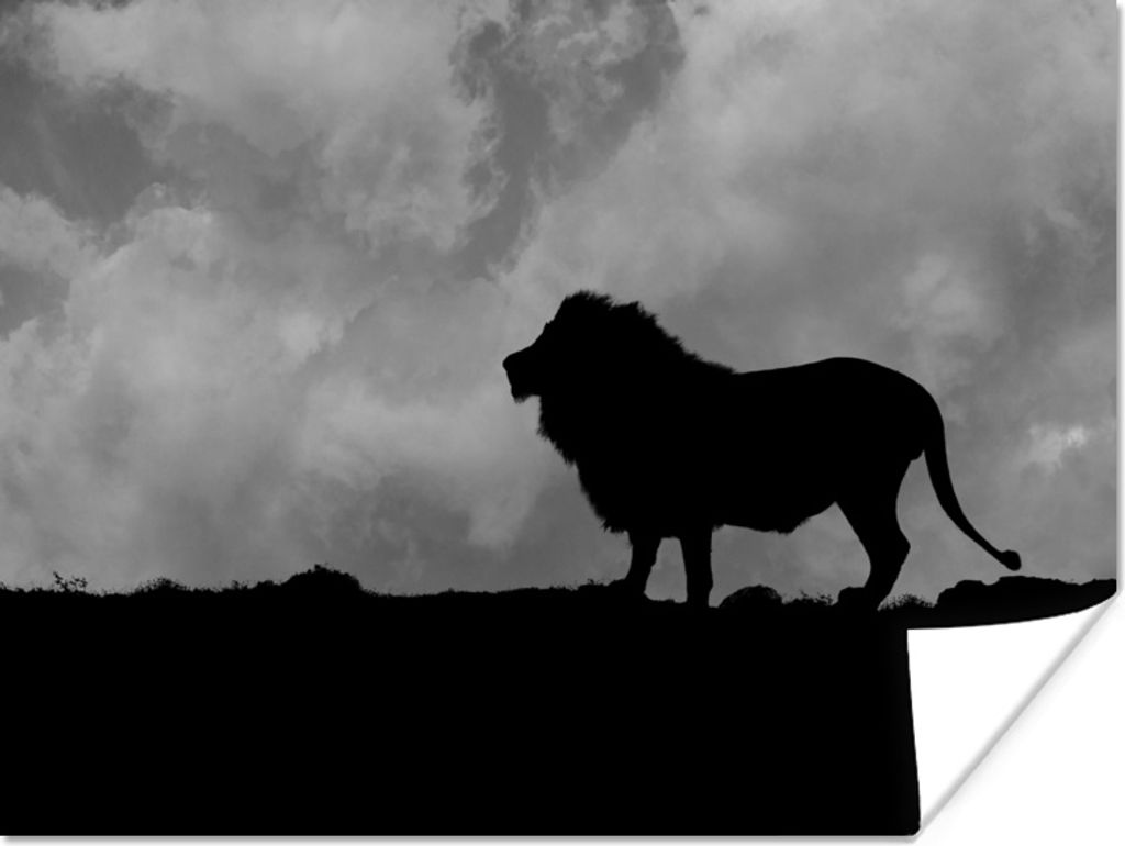 MuchoWow Poster Silhouette eines Löwen bei Sonnenuntergang - schwarz und weiß 160x120 cm - Foto Plakat