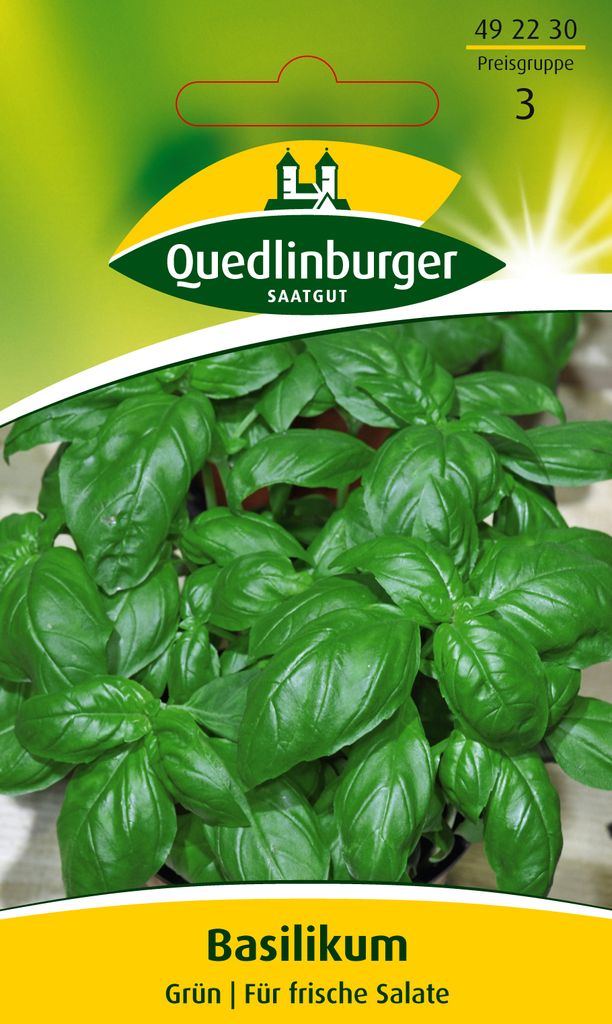 Basilikum 'Grün' Quedlinburger Kräutersamen Produktbild 