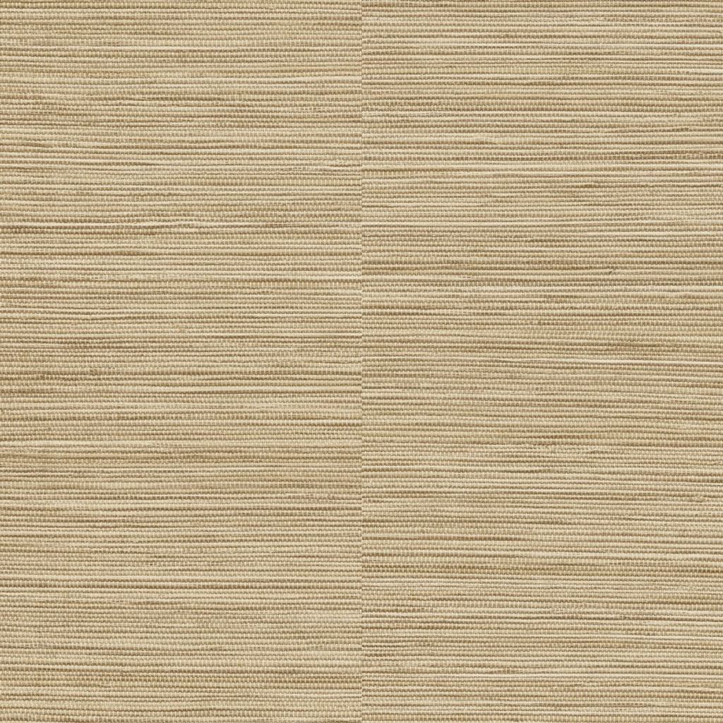 Grandeco Tapete | Kollektion Ciara | A62902 | Vliestapete | Streifen | 10.05 x 0.53 m | Beige | Wohnzimmer | Flur | Büro | Küche | Wohnräume