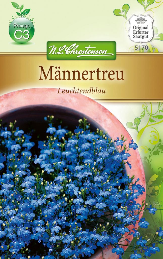 Chrestensen Männertreu 'leuchtendblau'