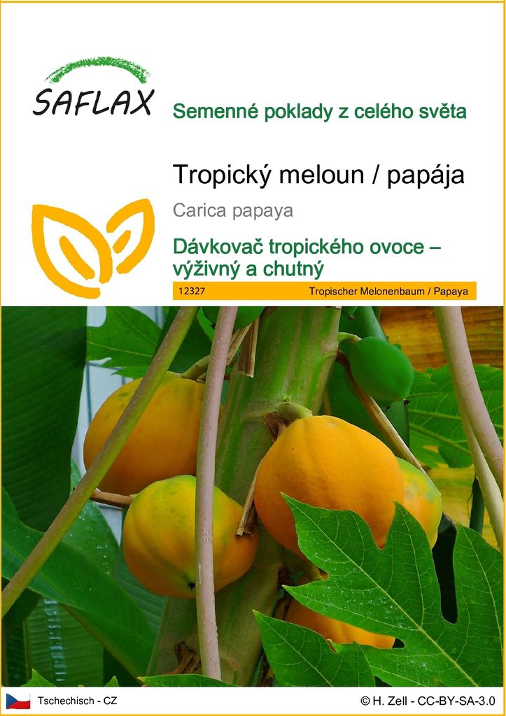 SAFLAX - Tropický meloun / papája - Carica papaya - 30 Obrázek produktu 