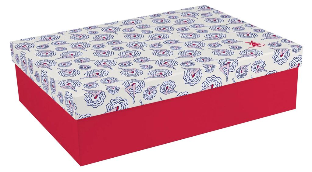 Clairefontaine 2x Box mit Fächern 29x21x8,5 cm 6 herausnehmbare Fächer 812445C