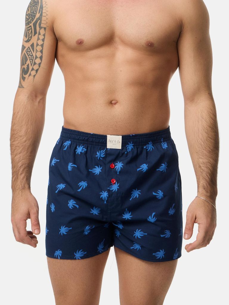 Phil & Co. Berlin Herren Boxer 4-Pack Core - Set 2 - Größe XL