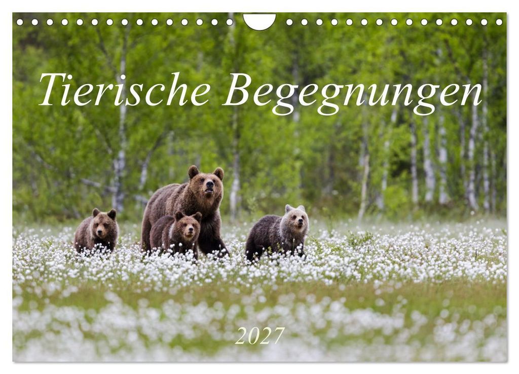 Tierische Begegnungen (Wandkalender 2027 DIN A4 quer), CALVENDO Monatskalender