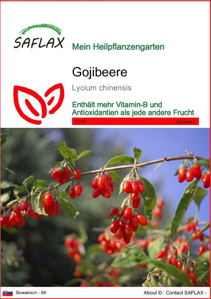 SAFLAX - Gojibeere - Lycium chinensis - 200 Semená Obrázok produktu 