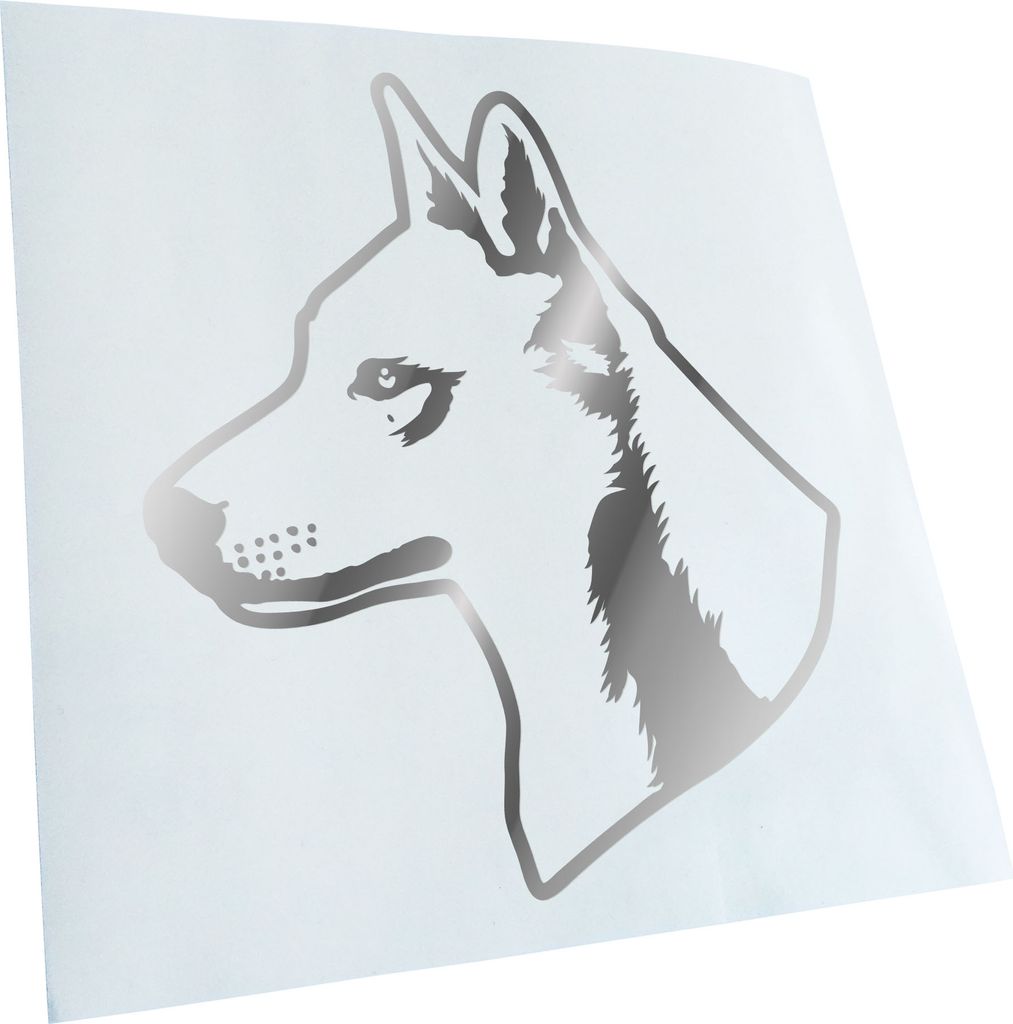 Kiwistar - Autoaufkleber - Canaan Dog Hund - Gold - 12x10cm - Aufkleber für Auto, Laptop, Fahrrad, LKW, Motorrad mehrfarbig JDM Decal Racing