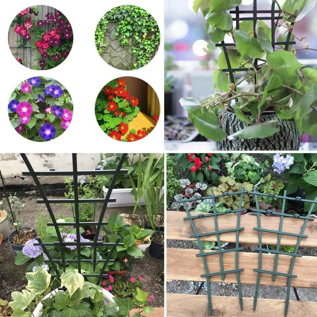 Aide à l'escalade pour plantes d'intérieur - Tuteur pour pot de fleurs
