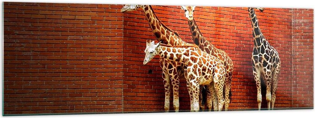 Bilder auf glas - Tiere Giraffen Zoo Familie - 160x50cm - Glasbilder - Wandbilder - Kunstdruck - zum Aufhängen bereit - Wanddekoration aus Glas - ...