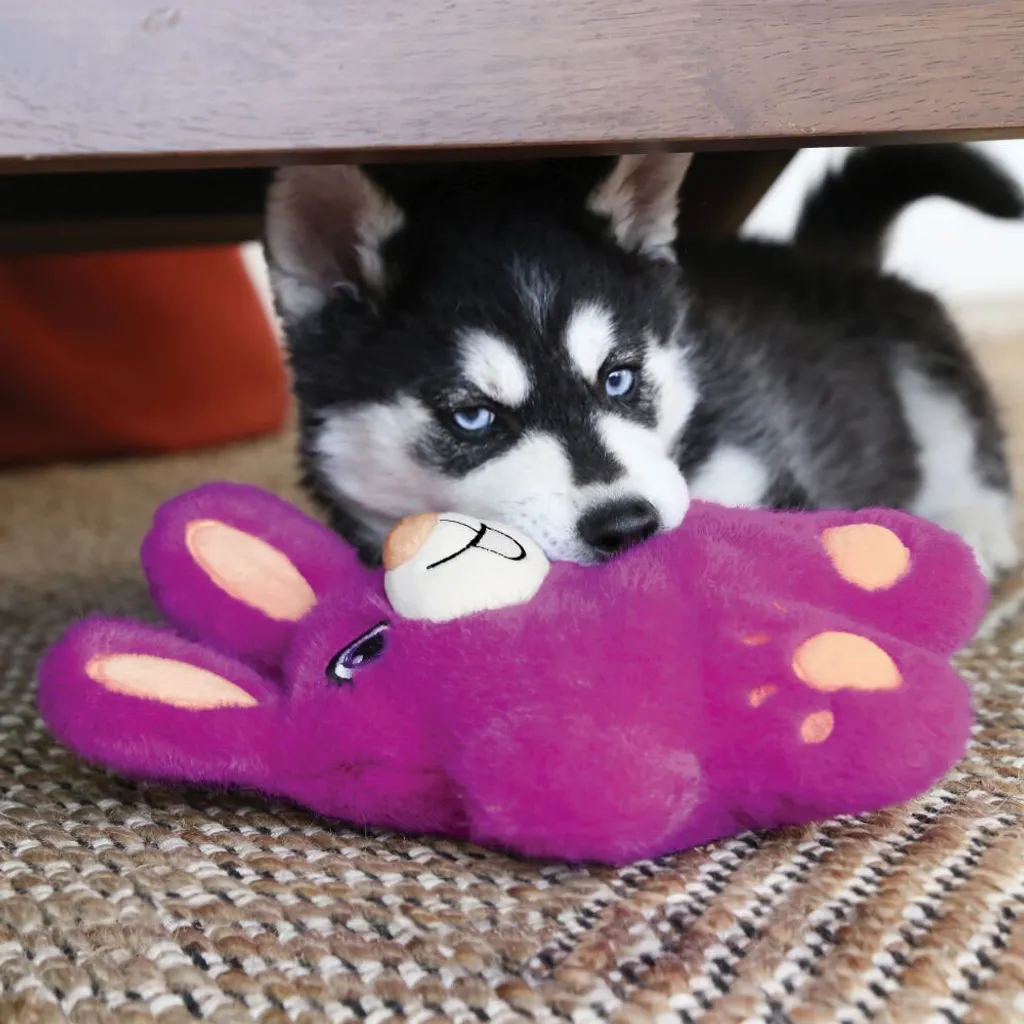 Kong Snuzzles Bunny - 3