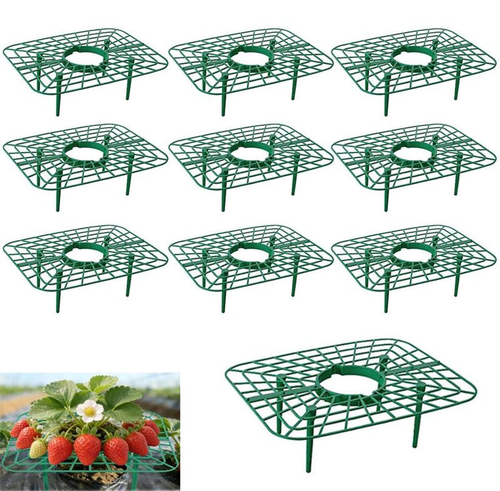 10er Set Erdbeerstützen Quadratisch – Verstellbare Erdbeergitter aus Kunststoff, Fruchtreifer & Pflanzenschutz für Garten, Hochbeet & Gewächshaus