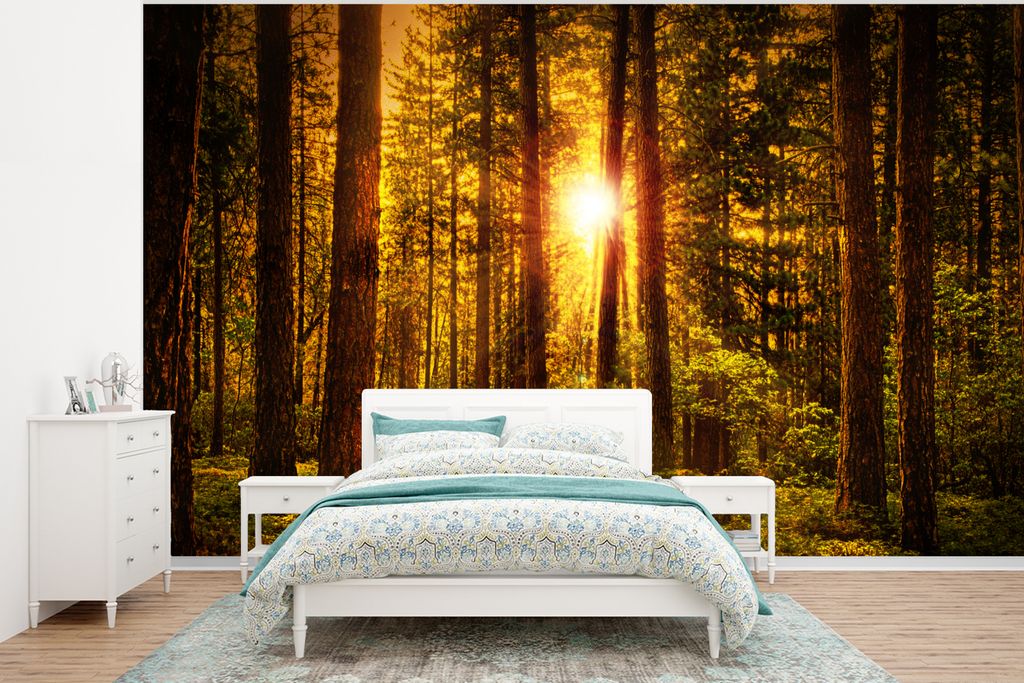 MuchoWow Fototapete für Wohnzimmer oder Schlafzimmer Wandtapete Vinyl Motivtapete Wald - Sonne - Bäume - Natur - Sonnenuntergang - 295x220 cm -...