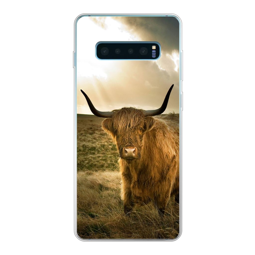 MuchoWow Handyhülle Schutzhülle Hülle für Samsung Galaxy S10 Plus Schottischer Hochländer - Sonne - Tiere Silikon Softcase Handy Hülle - Sc...
