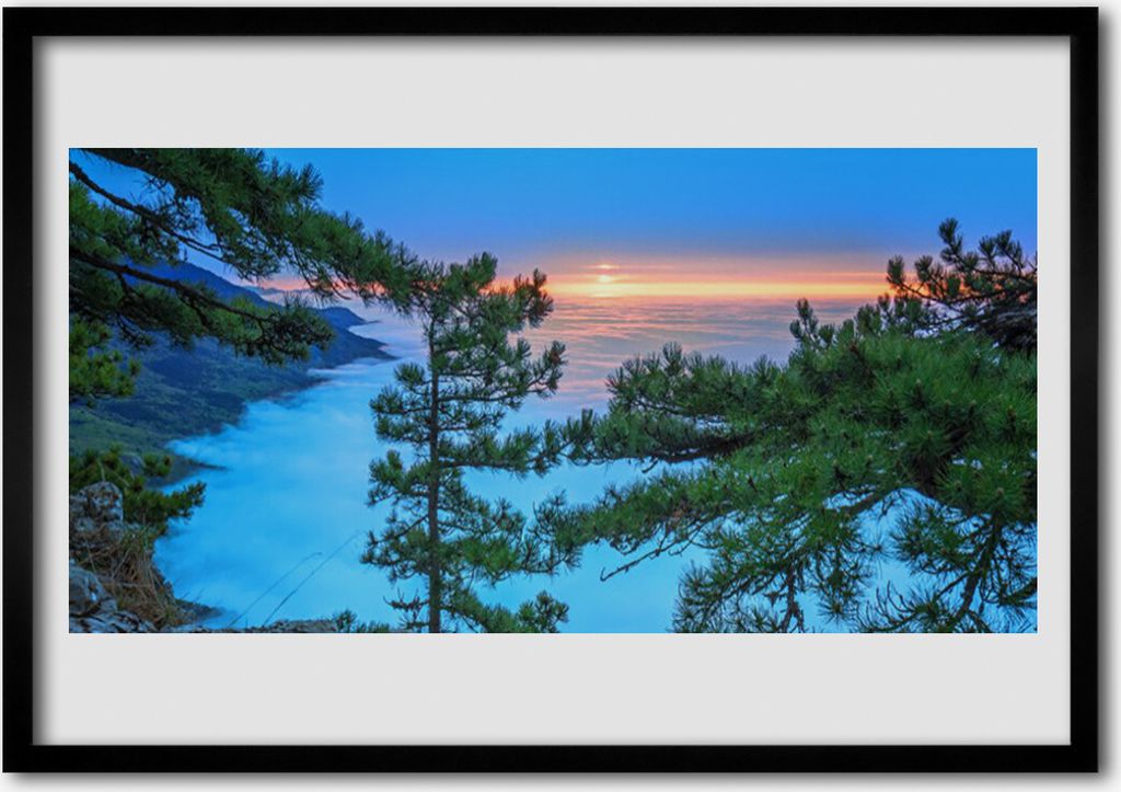 Bild 70x50 MDF-Rahmen Wandkunst Bäume Natur